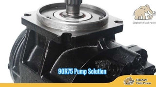 سوير دانفوس 90R75